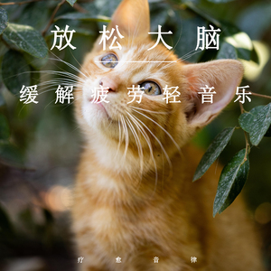 黑人狂躁女人高潮视频
